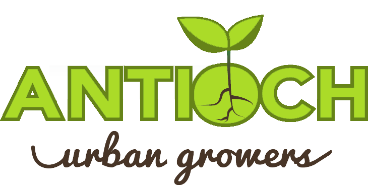 Antioch Urban Growers